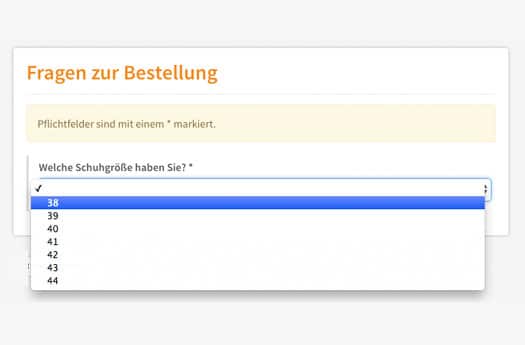 im-bestellprozess